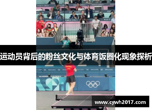 运动员背后的粉丝文化与体育饭圈化现象探析